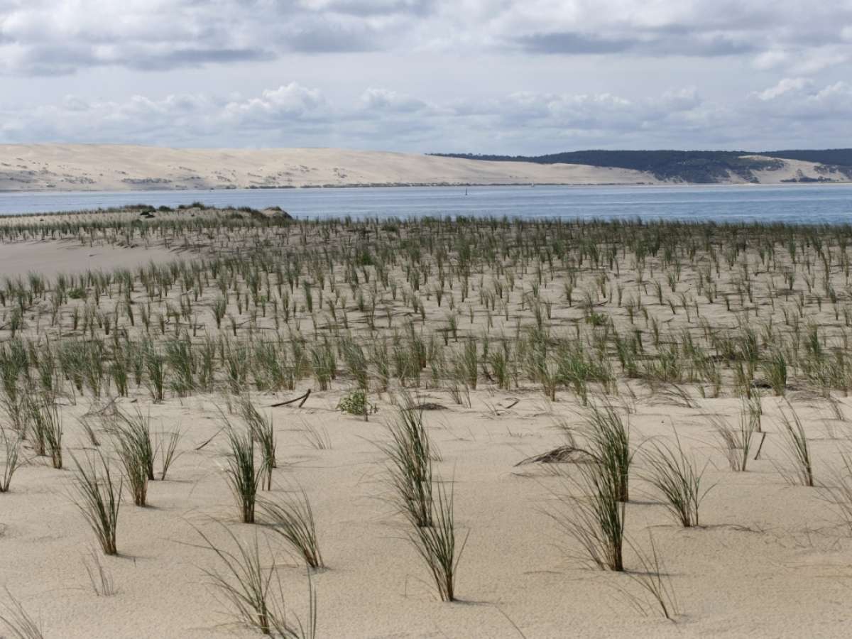 Dune du Cap Ferret